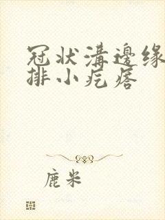 冠状沟边缘的一排小疙瘩封面