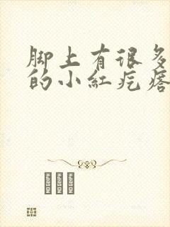 脚上有很多红色的小红疙瘩