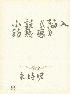 小说《陷入我们的热恋》