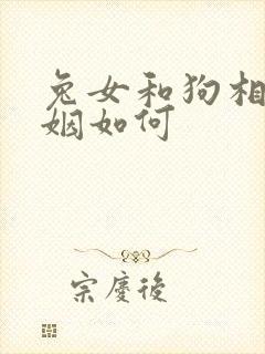 兔女和狗相配婚姻如何封面