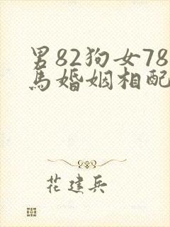 男82狗女78马婚姻相配吗