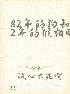 82年的狗和92年的猴相配婚姻如何