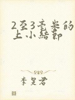 2至3毫米的肺上小结节