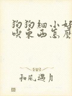 狗狗细小好后不吃东西怎么办