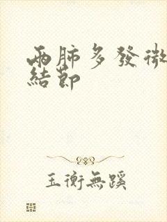 两肺多发微小实结节封面