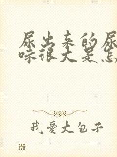 尿出来的尿浑浊味很大是怎么回事封面