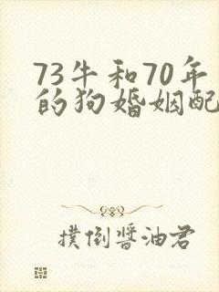 73牛和70年的狗婚姻配吗