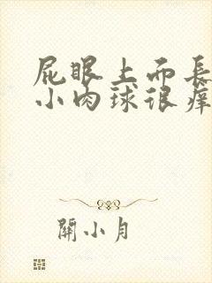 屁眼上面长了个小肉球很痒