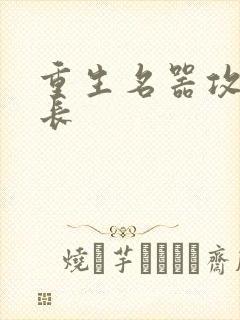 重生名器攻略兄长