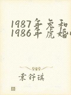 1987年兔和1986年虎婚配封面