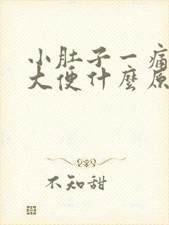 小肚子一痛就要大便什么原因封面