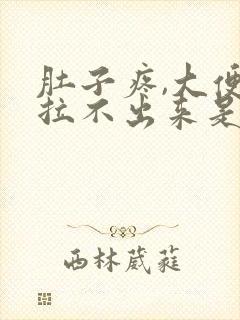 肚子疼,大便又拉不出来是什么原因封面