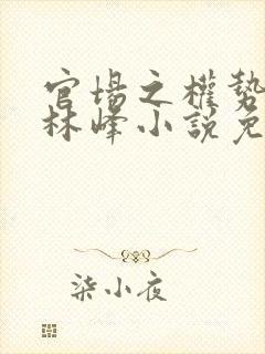 官场之权势滔天林峰小说免费阅读最新章节