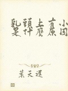 乳头上有小疙瘩是什么原因