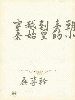 穿越到秦朝帮助秦始皇的小说