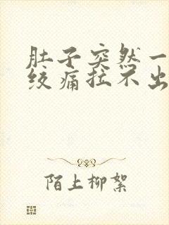 肚子突然一阵阵绞痛拉不出来封面