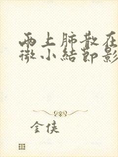 两上肺散在多发微小结节影