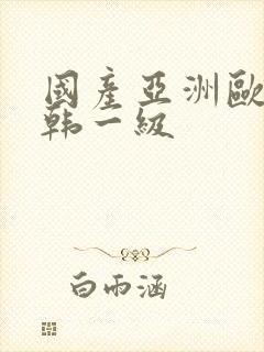 国产亚洲欧美日韩一级