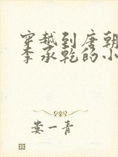 穿越到唐朝成为李承乾的小说