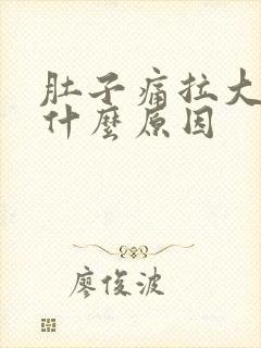 肚子痛拉大便是什么原因