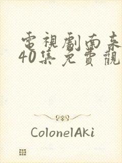 电视剧南来北往40集免费观看