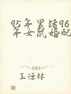 95年男猪96年女鼠婚配