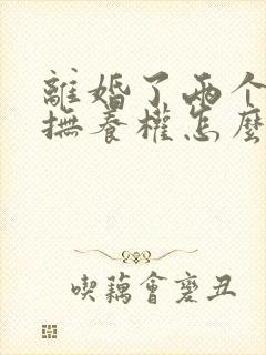 离婚了两个小孩抚养权怎么判