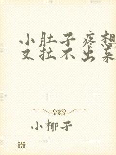 小肚子疼想拉屎又拉不出来封面