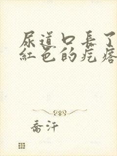 尿道口长了一个红色的疙瘩