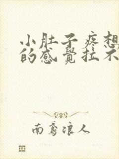 小肚子疼想大便的感觉拉不出来