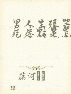 男人生殖器上长疙瘩点是怎么回事