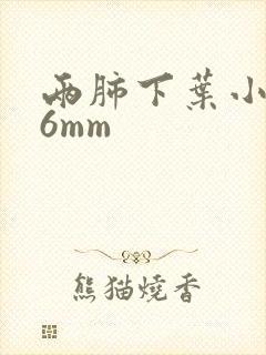 两肺下叶小结节6mm