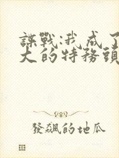 谍战:我成了最大的特务头子txt下载