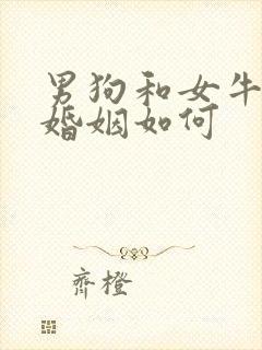 男狗和女牛相配婚姻如何
