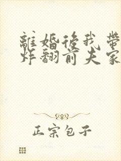 离婚后我带四崽炸翻前夫家短剧全集