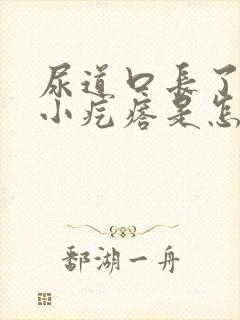 尿道口长了一圈小疙瘩是怎么回事