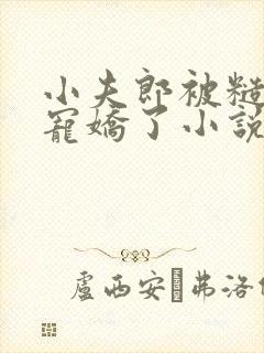 小夫郎被糙汉子宠娇了小说免费阅读