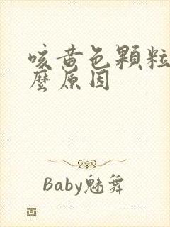 咳黄色颗粒痰什么原因