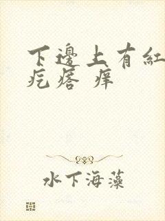 下边上有红色小疙瘩 痒