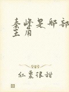 秦峰是哪部小说主角