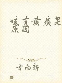 咳有黄痰是什么原因