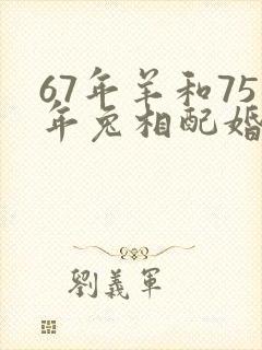 67年羊和75年兔相配婚姻如何