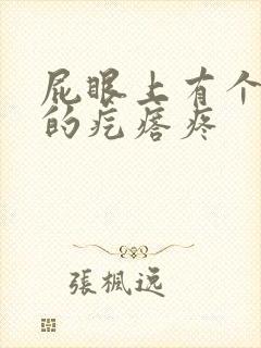 屁眼上有个硬硬的疙瘩疼