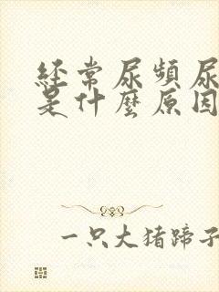 经常尿频尿不尽是什么原因