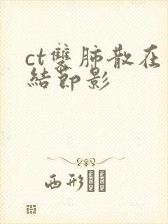 ct双肺散在小结节影