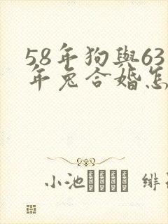 58年狗与63年兔合婚怎样