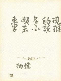 车超多的现代双男主小说推荐封面