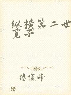 纵横第二世界 宽子