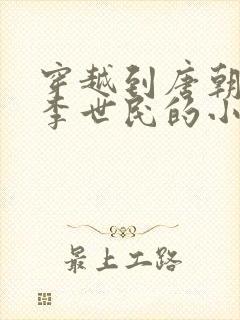 穿越到唐朝辅佐李世民的小说封面