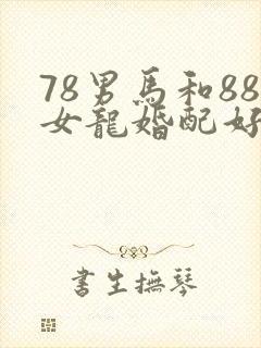 78男马和88女龙婚配好不好封面